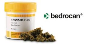 bedrocan