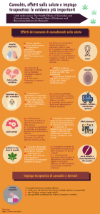 cannabis_report_infografica_FINAL (1)